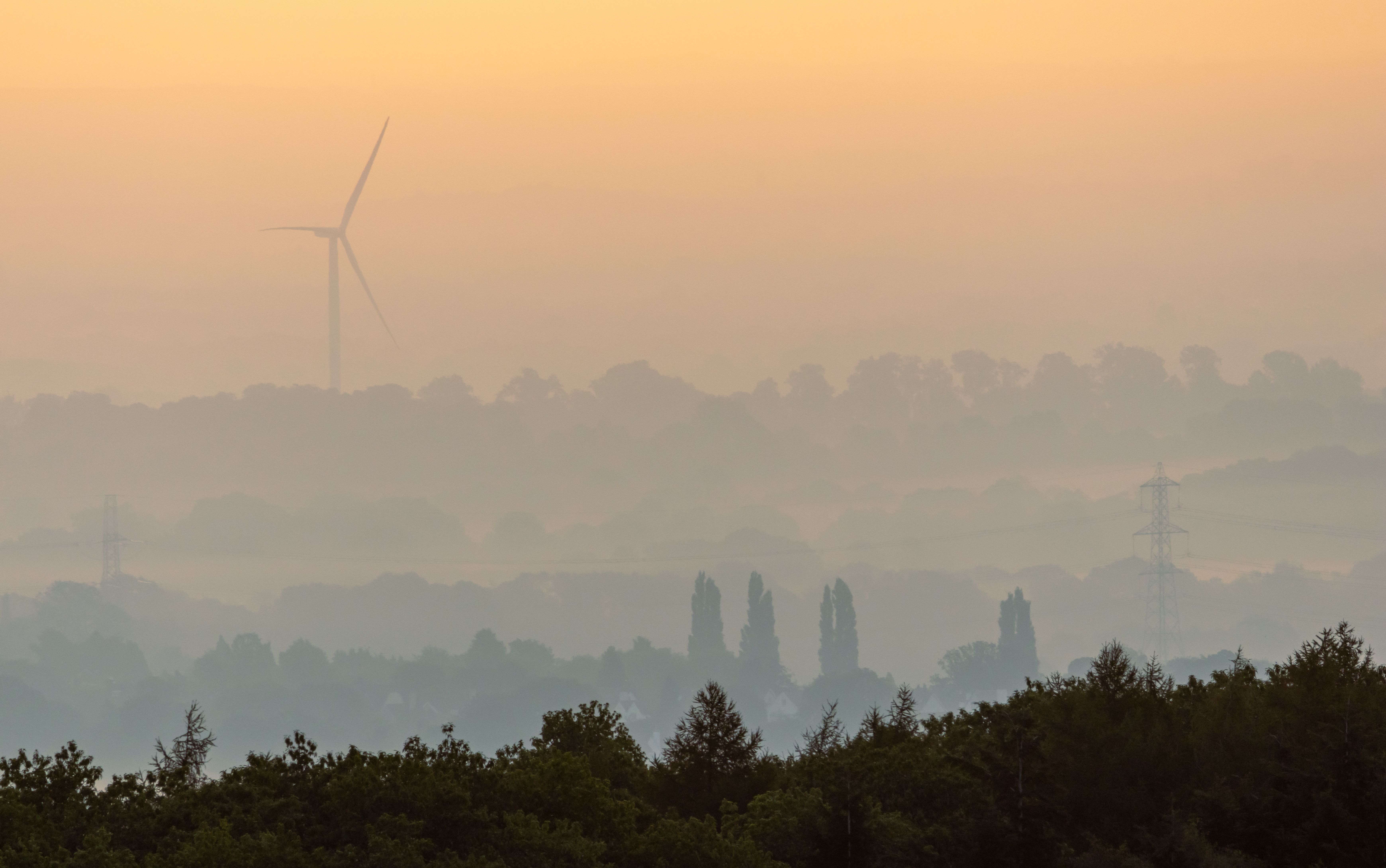 A view of trees and a windmill off in the distance. Heavy fog makes building hard to distinguish.