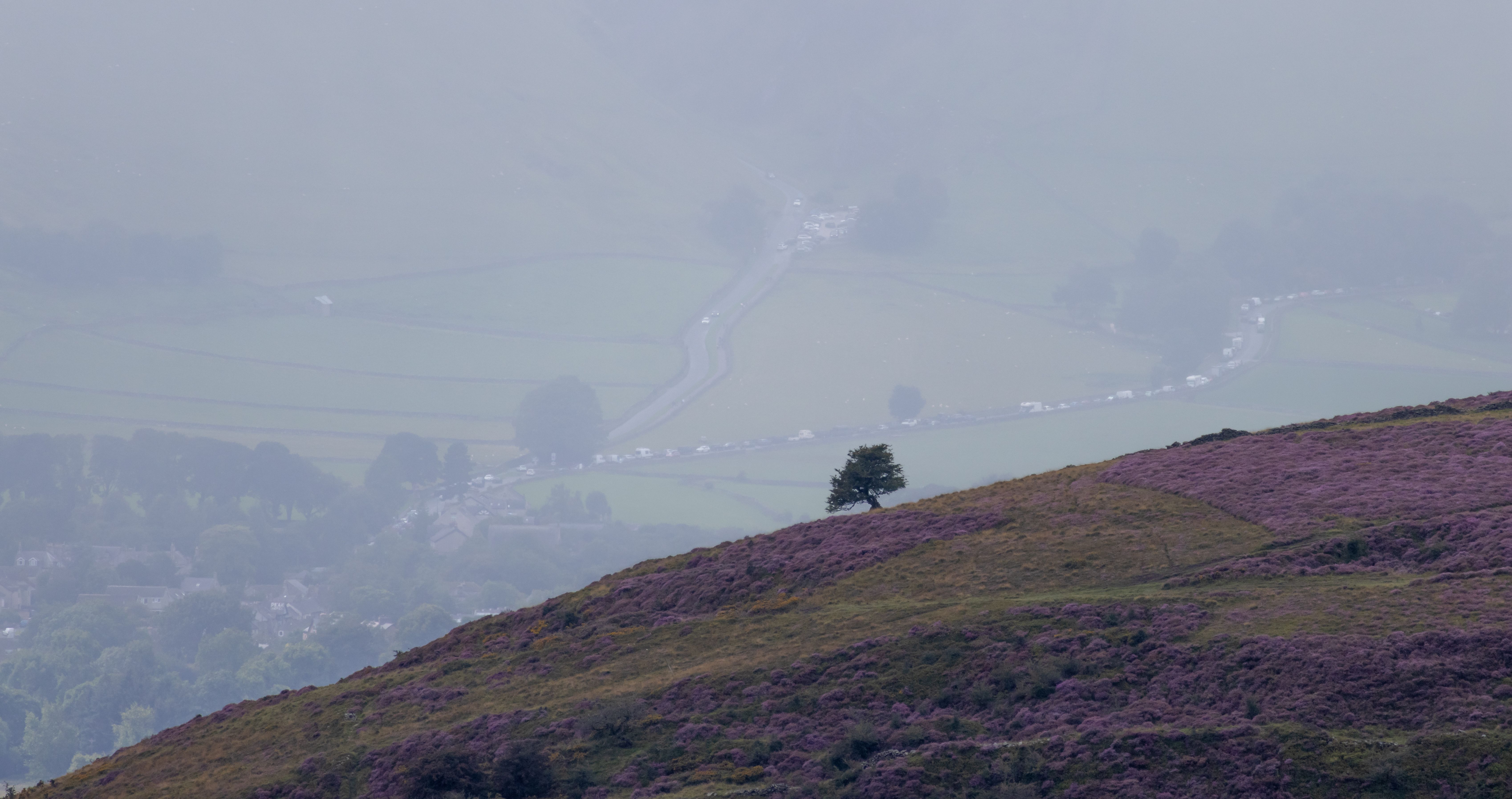 A silhouetted picture of a tree on a hill, with another green hill in the background which has winding traffic.
