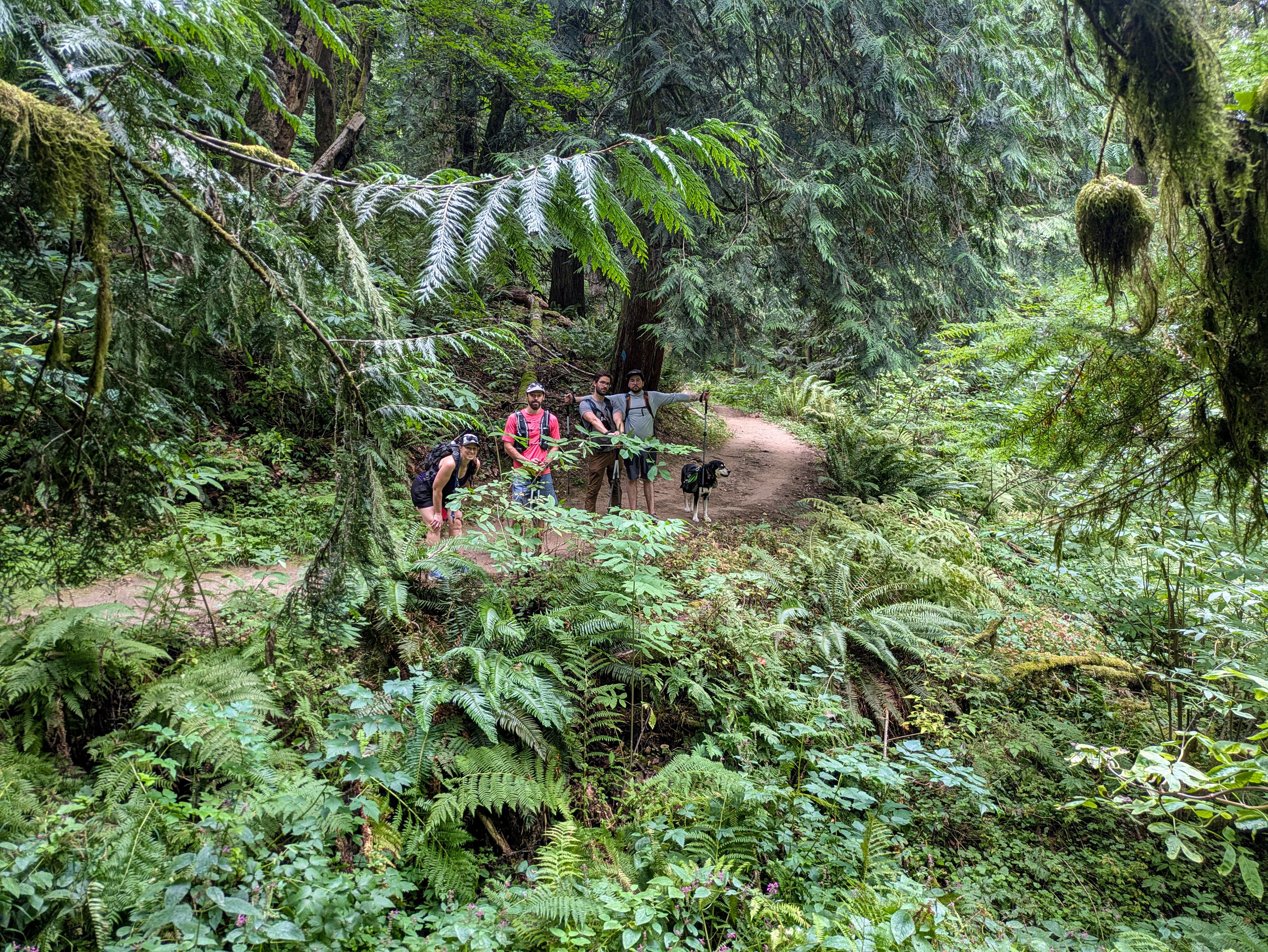 A group of friends and a dog posing for a photo in a forest